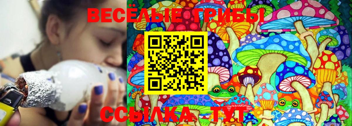 Лангепас  Галлюциногенные грибы Cubensis  Вход с VPN 